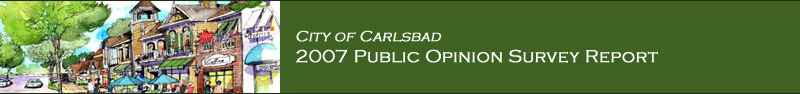 City of Carlsbad Report