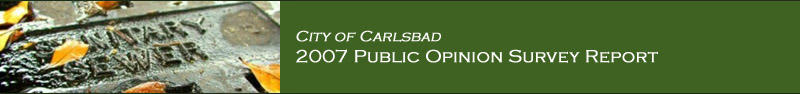 City of Carlsbad Report