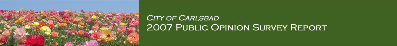 City of Carlsbad Report