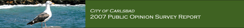 City of Carlsbad Report