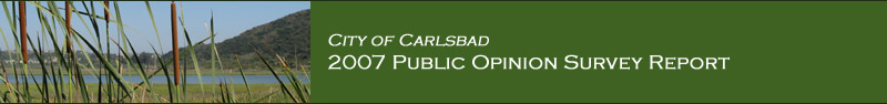 City of Carlsbad Report