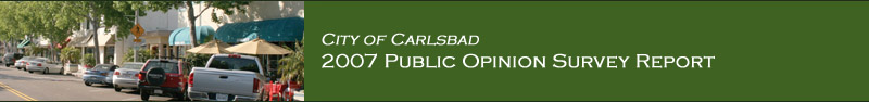 City of Carlsbad Report