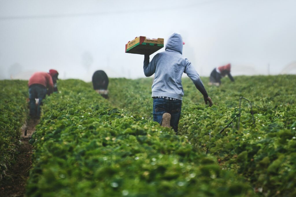 Farm Bill Conservation Programs: Economic Impact Analysis